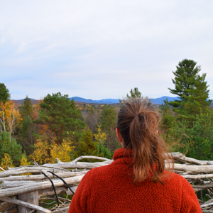 Jenny in the Eagle's Nest